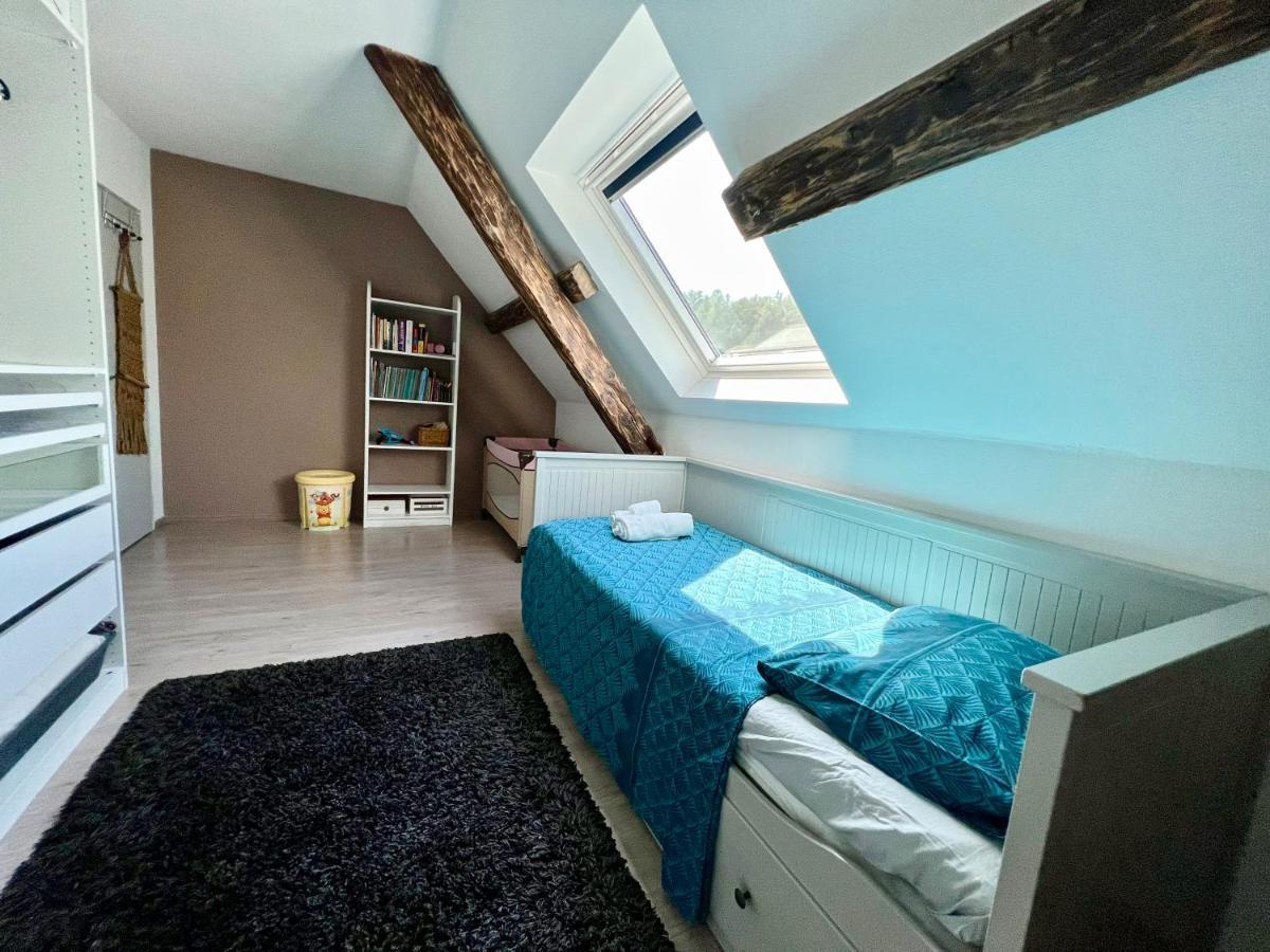 Superbe Appartement Duplex A Kaysersberg En Alsace Ngoại thất bức ảnh