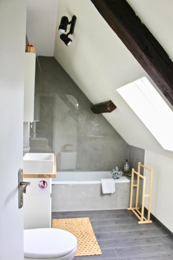 Superbe Appartement Duplex A Kaysersberg En Alsace Ngoại thất bức ảnh